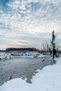 Island Lake